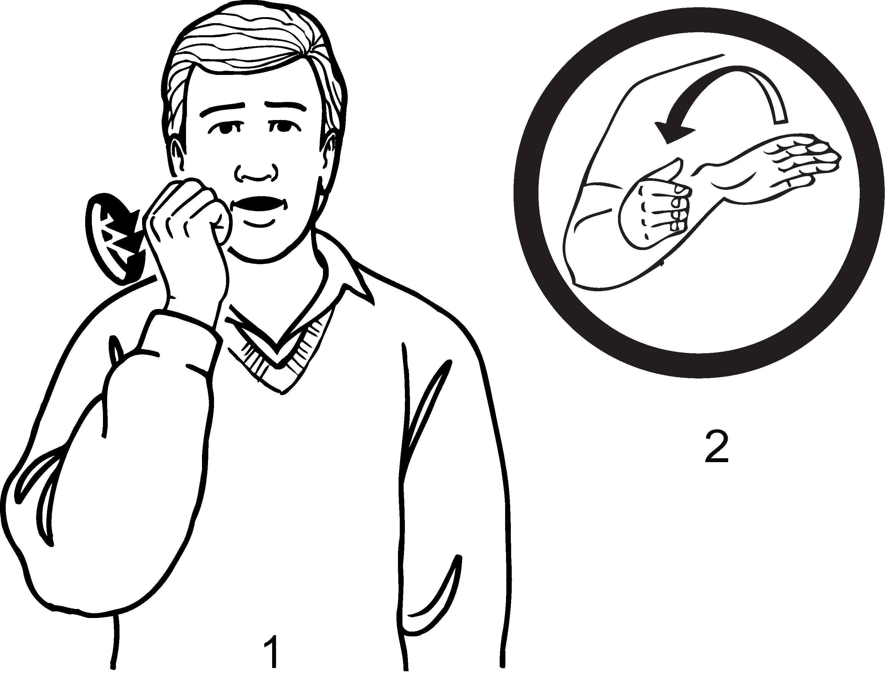 Maori_Hill-6981-high_resolution.png - main