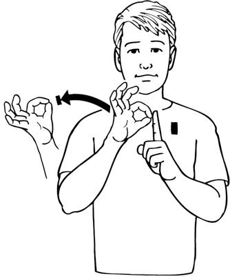 paparangi-8247-high_resolution.png - main