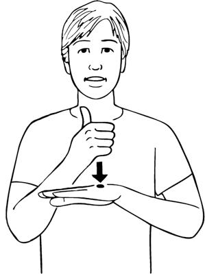 base-8051-high_resolution.png - main