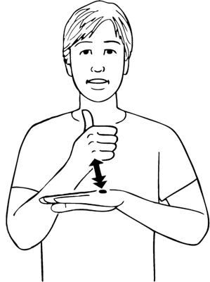 basic-8052-high_resolution.png - main