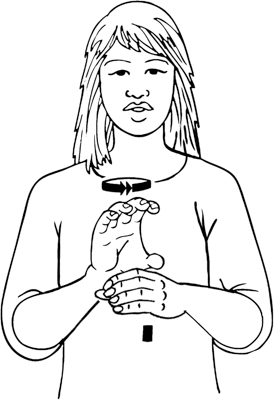 cappuccino-8059-high_resolution.png - main