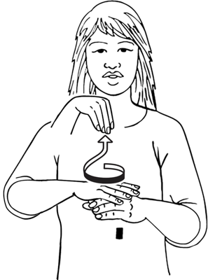 cappuccino-8685-high_resolution.png - main