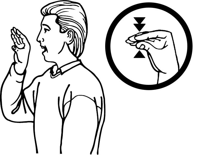 duck-4289-high_resolution.png - main