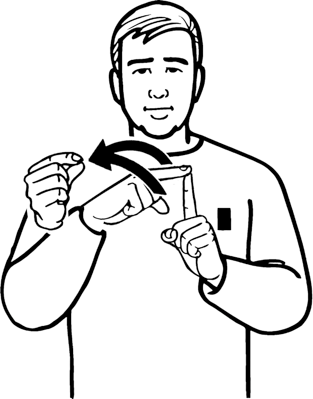 fern-8088-high_resolution.png - main