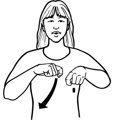 fillet-8611-high_resolution.png - main
