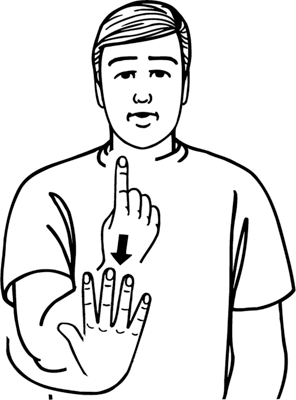 first_five_eighth-8850-high_resolution.png - main