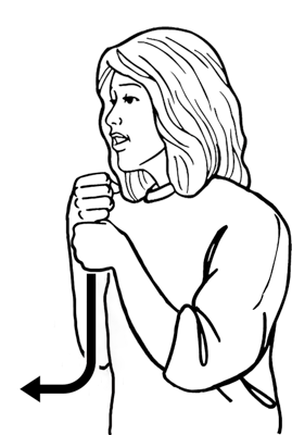 flying_fox-8095-high_resolution-adjusted2.png - main