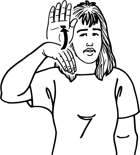 grandmother-1016-high_resolution.png - main