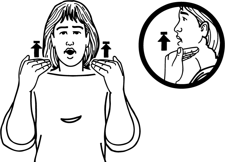 short_hair-1026-high_resolution.png - main