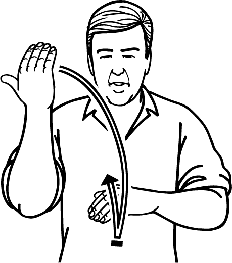 finished-1036-high_resolution.png - main