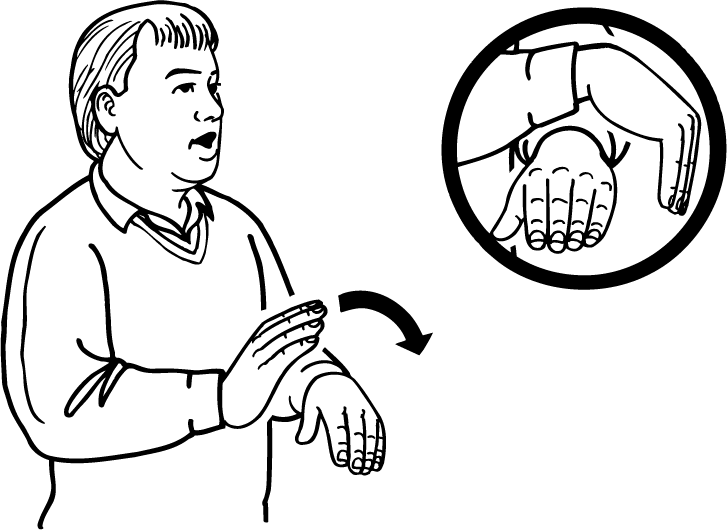 over-1087-high_resolution.png - main