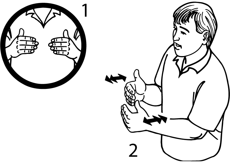 budget-1169-high_resolution.png - main