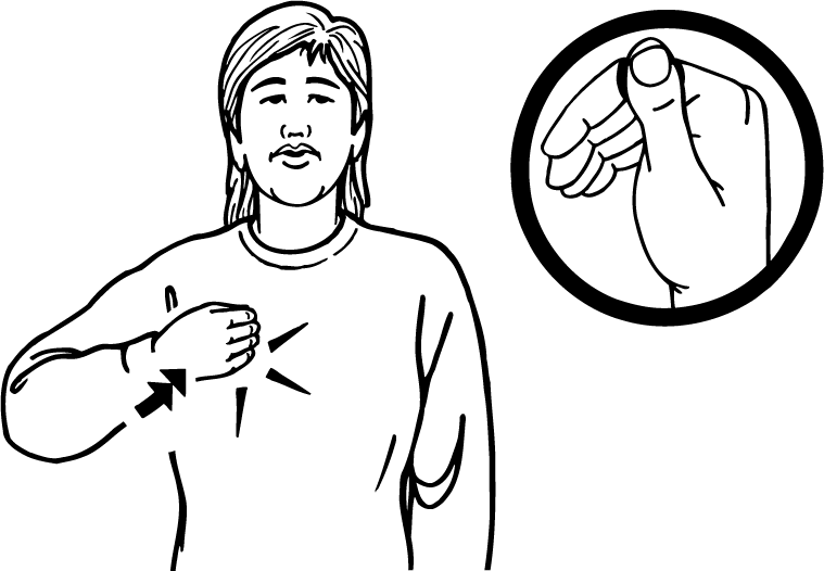 rugby-1250-high_resolution.png - main