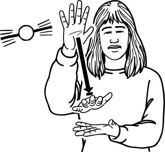 decrease-1294-high_resolution.png - main