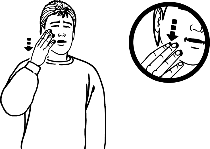 pale-1336-high_resolution.png - main