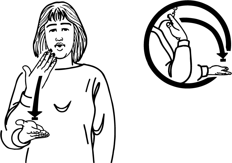 polite-1346-high_resolution.png - main