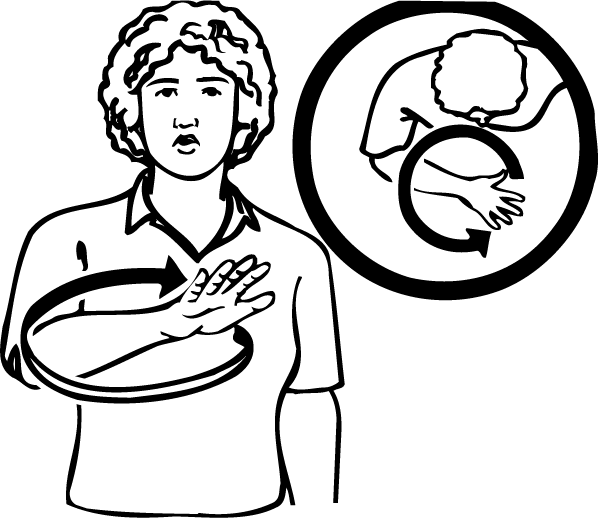 all_over-1436-high_resolution.png - main