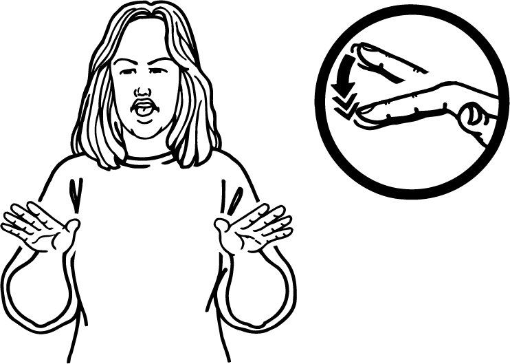 fly_insect-1484-high_resolution.png - main