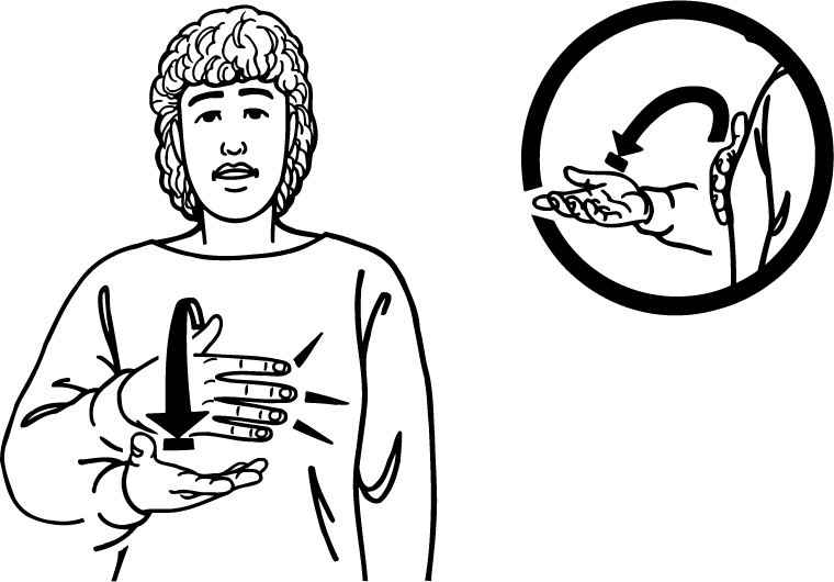 grateful-1530-high_resolution.png - main