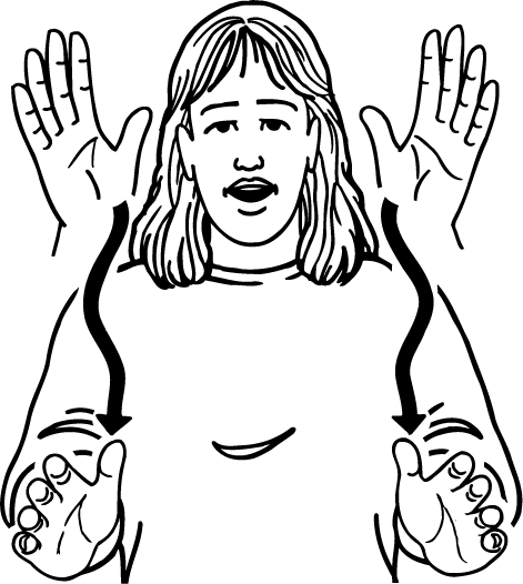 bush-1535-high_resolution.png - main