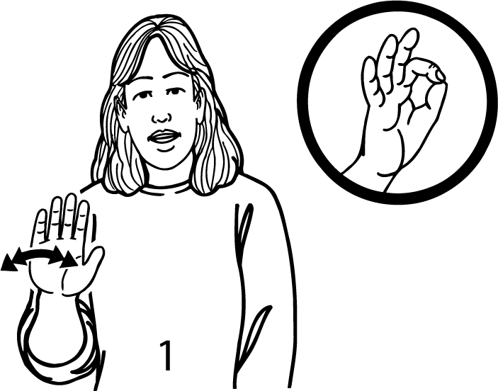 blueberry-1578-high_resolution.png - main