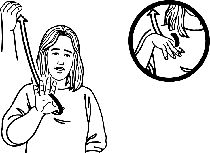 spirit-1612-high_resolution.png - main