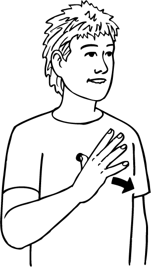 fine-1613-high_resolution.png - main