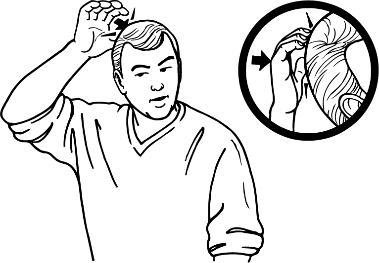 bun_hair-1724-high_resolution.png - main