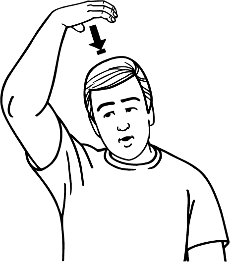 king_queen-1727-high_resolution.png - main