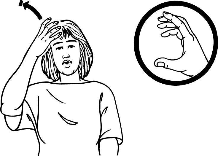 king_queen-1729-high_resolution.png - main