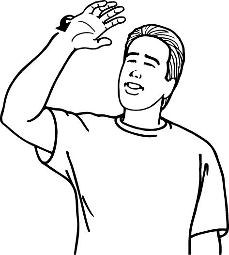 sunny-1732-high_resolution.png - main