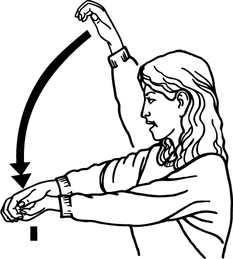 crocodile-1735-high_resolution.png - main