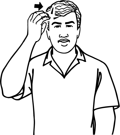 brain-1736-high_resolution.png - main