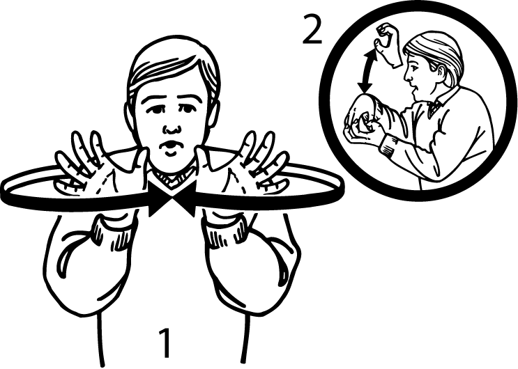 hippopotamus-1787-high_resolution.png - main