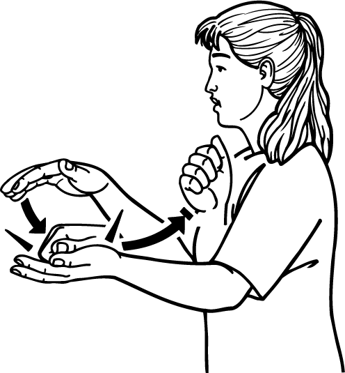 steal-1813-high_resolution.png - main