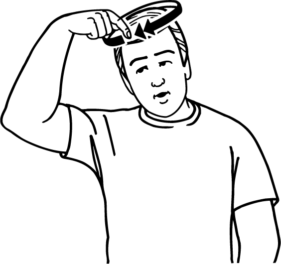 bald-2041-high_resolution.png - main