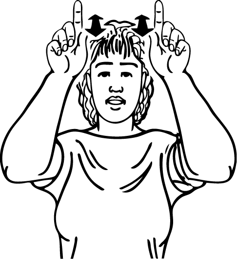 snail-2081-high_resolution.png - main