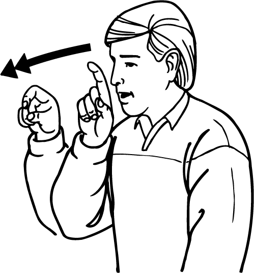 parrot-2109-high_resolution.png - main