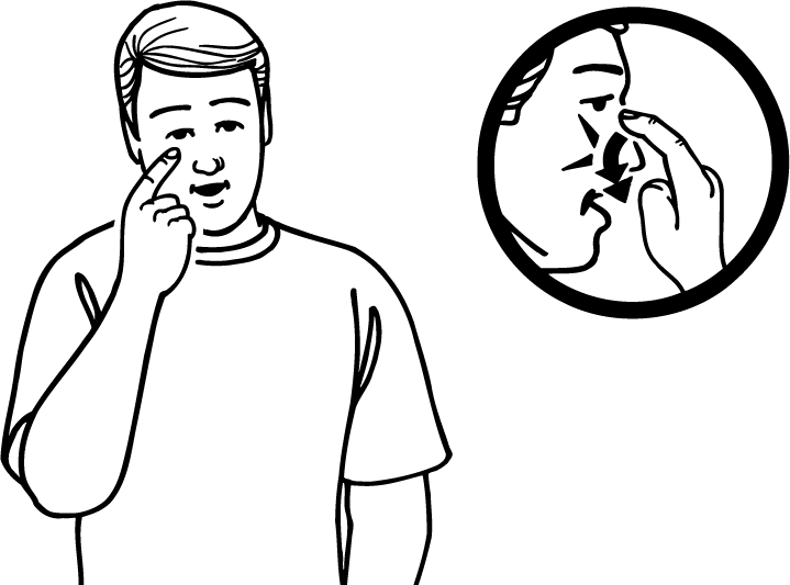 onion-2137-high_resolution.png - main