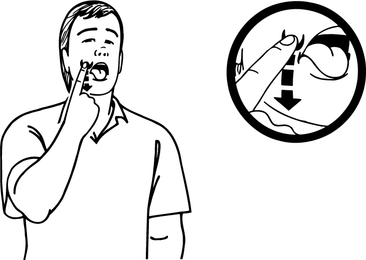 crave-2161-high_resolution.png - main