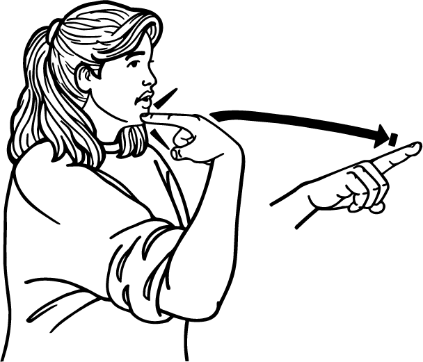 order-2178-high_resolution.png - main