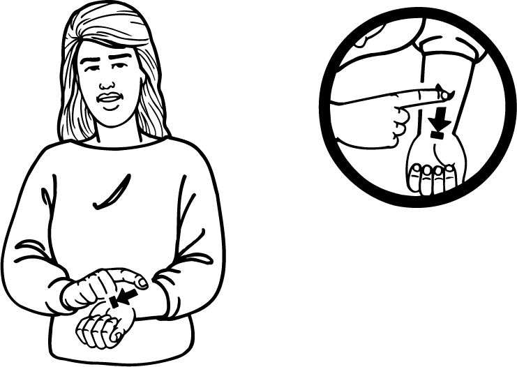 nerve-2346-high_resolution.png - main