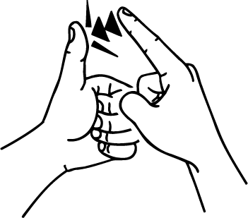 Auckland-2348-high_resolution.png - main