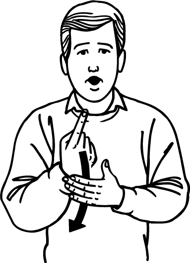 only-2362-high_resolution.png - main