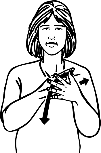 all_of_them-2415-high_resolution.png - main