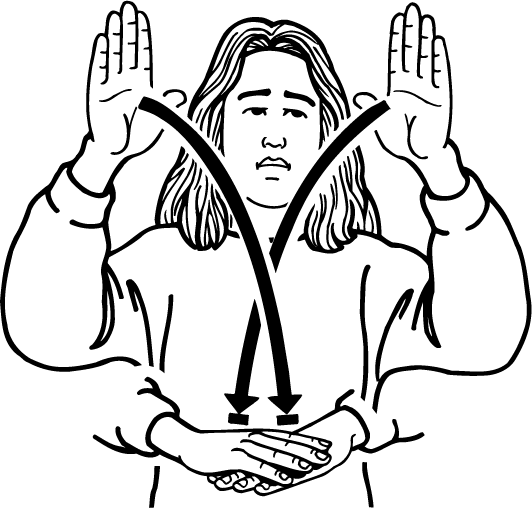 collapse-254-high_resolution.png - main