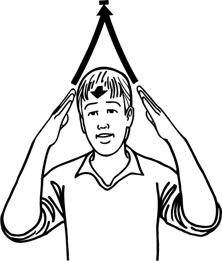 wizard-256-high_resolution.png - main