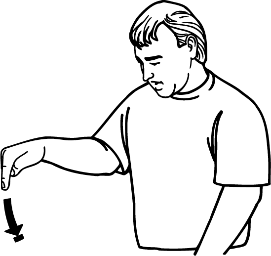 toe-2580-high_resolution.png - main