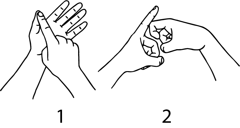 Auckland-2623-high_resolution.png - main