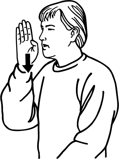 plain-266-high_resolution.png - main